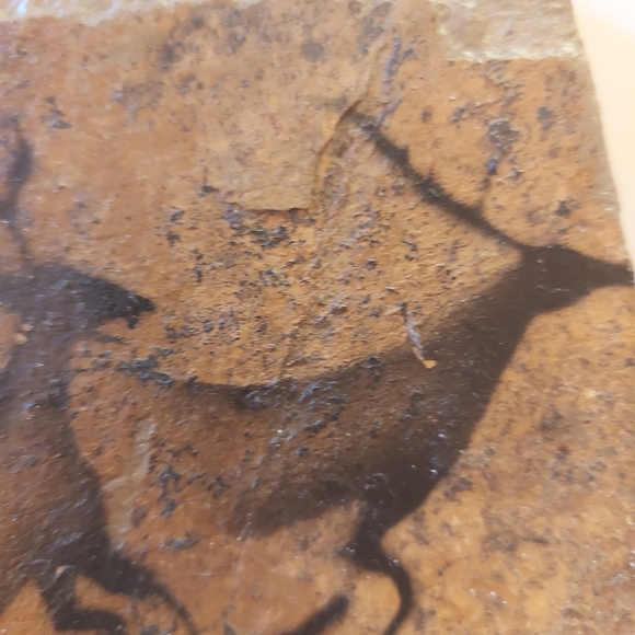 Moving Deer Painting on Stone, Artisan Creation made in Alberta comes with stand - Picture 9 of 11